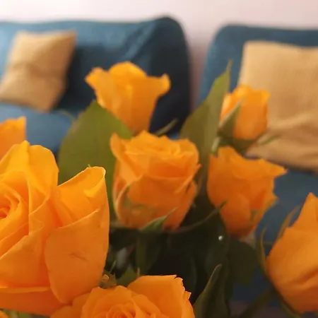 Moon & Hostal Praga
